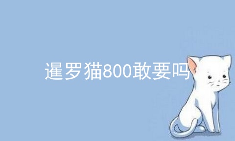 暹罗猫800敢要吗