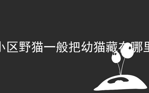 小区野猫一般把幼猫藏在哪里