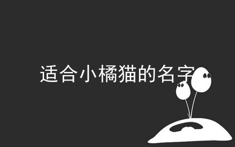 适合小橘猫的名字