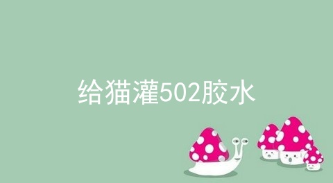 给猫灌502胶水