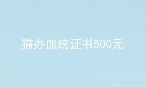 猫办血统证书500元