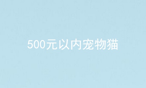 500元以内宠物猫