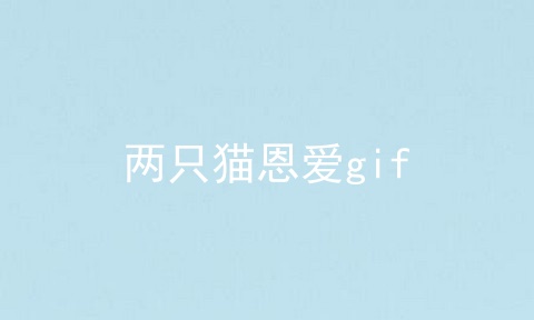 两只猫恩爱gif