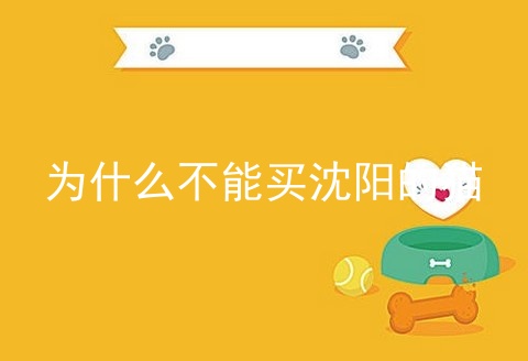 为什么不能买沈阳的猫