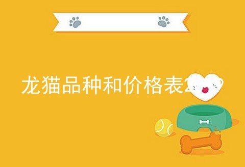 龙猫品种和价格表2019