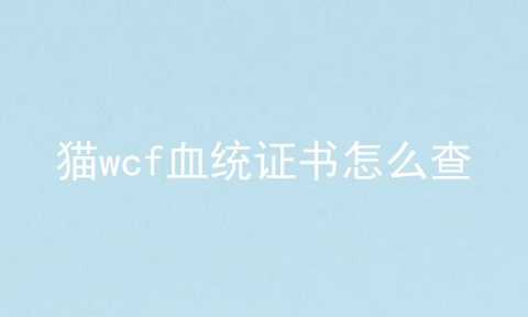 猫wcf血统证书怎么查