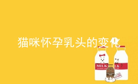 猫咪怀孕乳头的变化