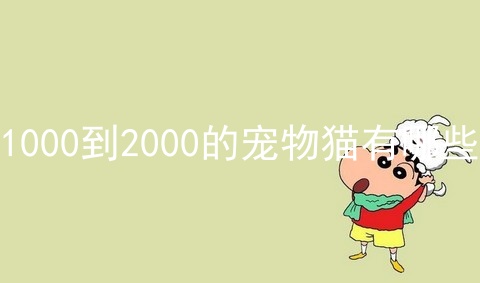 1000到2000的宠物猫有哪些