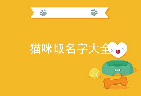 猫咪取名字大全