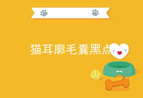 猫耳廓毛囊黑点