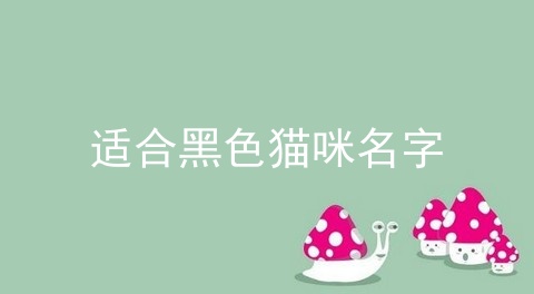 适合黑色猫咪名字