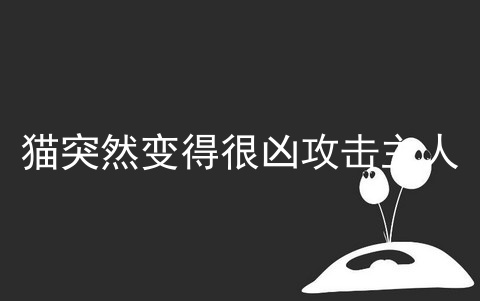 猫突然变得很凶攻击主人