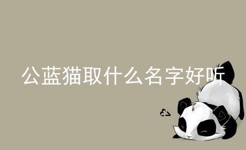 公蓝猫取什么名字好听