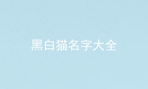 黑白猫名字大全