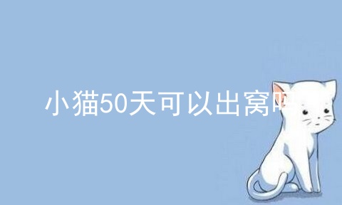 小猫50天可以出窝吗