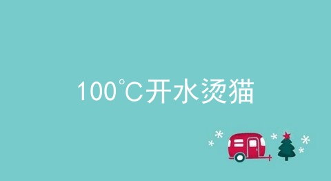 100℃开水烫猫