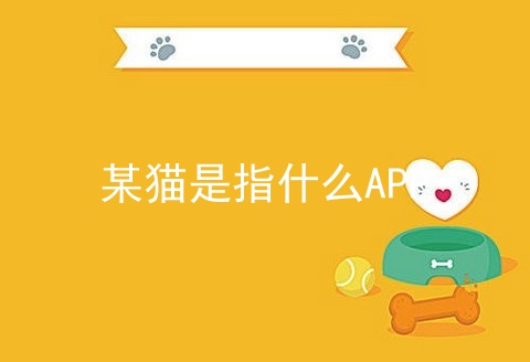 某猫是指什么APP