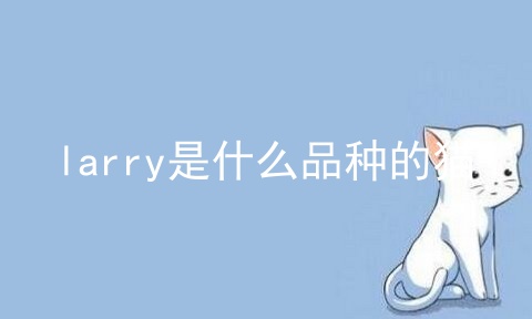 larry是什么品种的猫