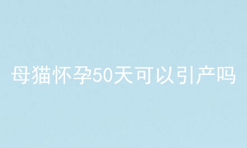 母猫怀孕50天可以引产吗