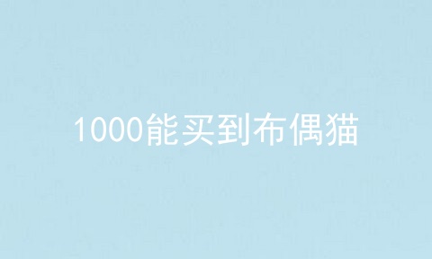 1000能买到布偶猫