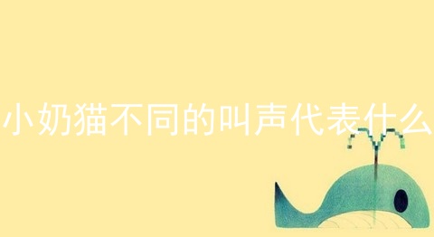 小奶猫不同的叫声代表什么