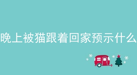 晚上被猫跟着回家预示什么