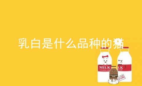 乳白是什么品种的猫