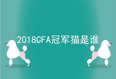 2018CFA冠军猫是谁