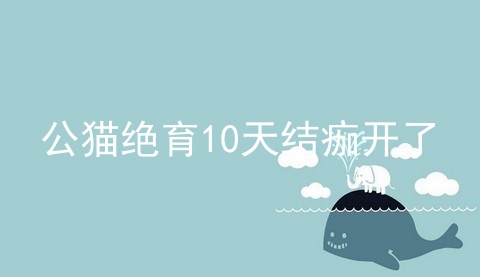 公猫绝育10天结痂开了