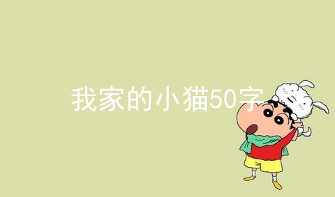 我家的小猫50字