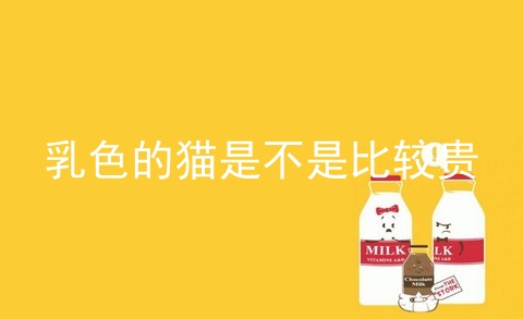 乳色的猫是不是比较贵