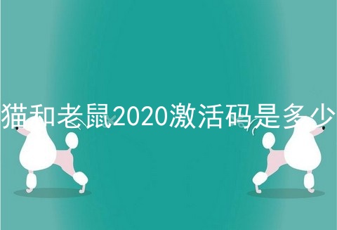 猫和老鼠2020激活码是多少