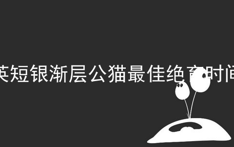 英短银渐层公猫最佳绝育时间