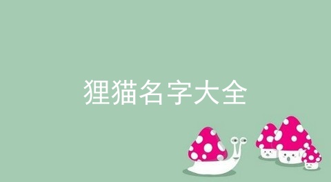 狸猫名字大全