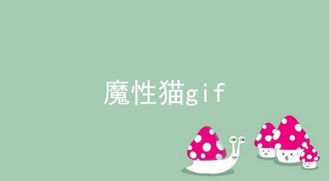 魔性猫gif