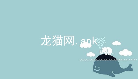 龙猫网.apk