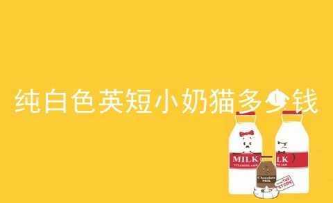 纯白色<a href=/cat/13.html target=_blank class=infotextkey>英短</a>小奶猫多少钱