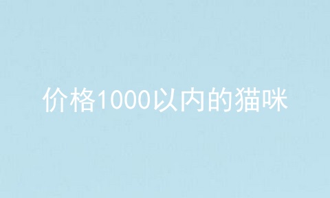 价格1000以内的猫咪