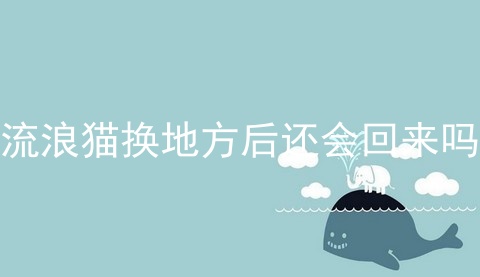 流浪猫换地方后还会回来吗