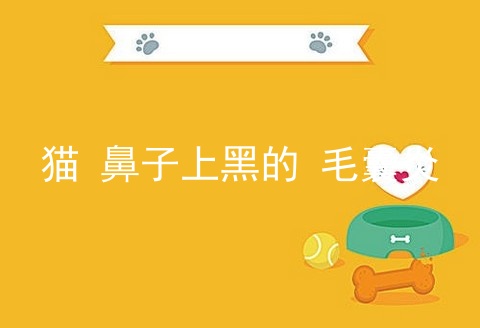 猫 鼻子上黑的 毛囊炎