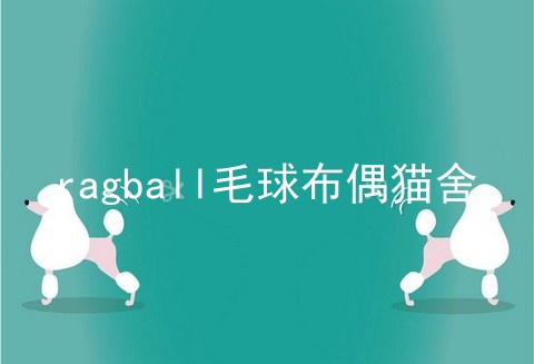 ragball毛球布偶猫舍