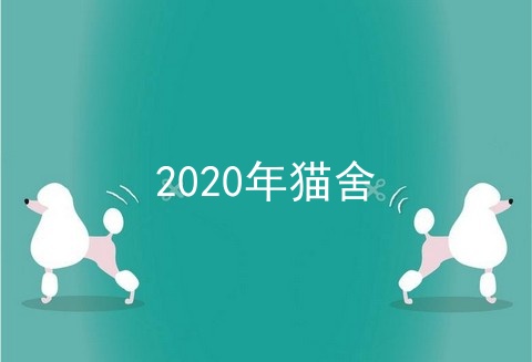 2020年猫舍