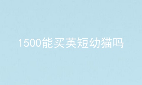 1500能买<a href=/cat/13.html target=_blank class=infotextkey>英短</a>幼猫吗