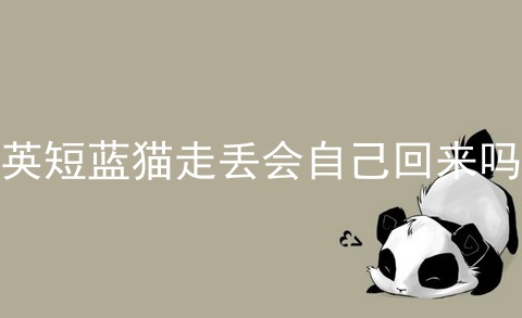 <a href=/cat/13.html target=_blank class=infotextkey>英短</a>蓝猫走丢会自己回来吗