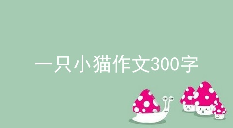 一只小猫作文300字