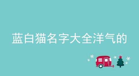 蓝白猫名字大全洋气的