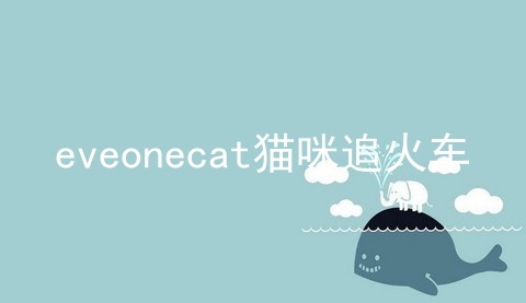 eveonecat猫咪追火车