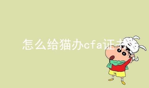 怎么给猫办cfa证书