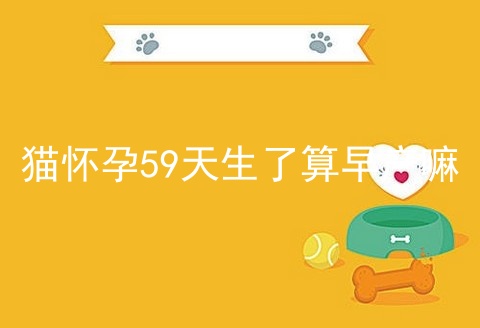 猫怀孕59天生了算早产嘛