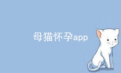 母猫怀孕app